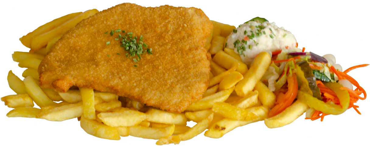 Varkensschnitzel of Kipschnitzel